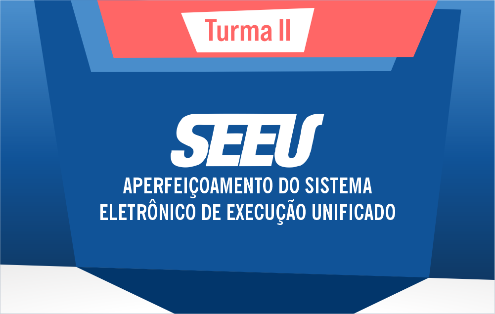 Aperfeiçoamento do Sistema Eletrônico de Execução Unificado (SEEU) - Turma 2