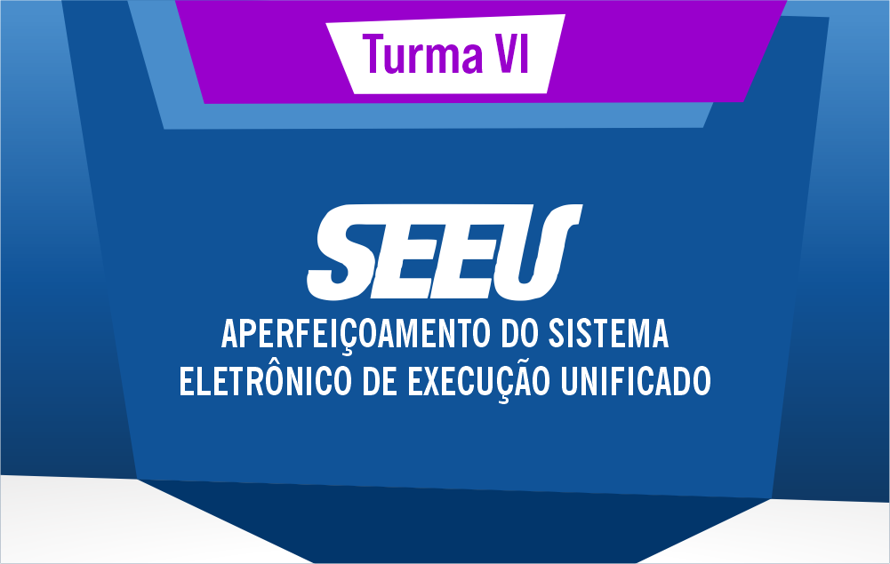 Aperfeiçoamento do Sistema Eletrônico de Execução Unificado (SEEU) - Turma 6